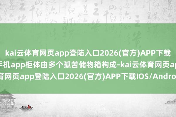 kai云体育网页app登陆入口2026(官方)APP下载IOS/Android通用版/手机app柜体由多个孤苦储物箱构成-kai云体育网页app登陆入口2026(官方)APP下载IOS/Android通用版/手机app